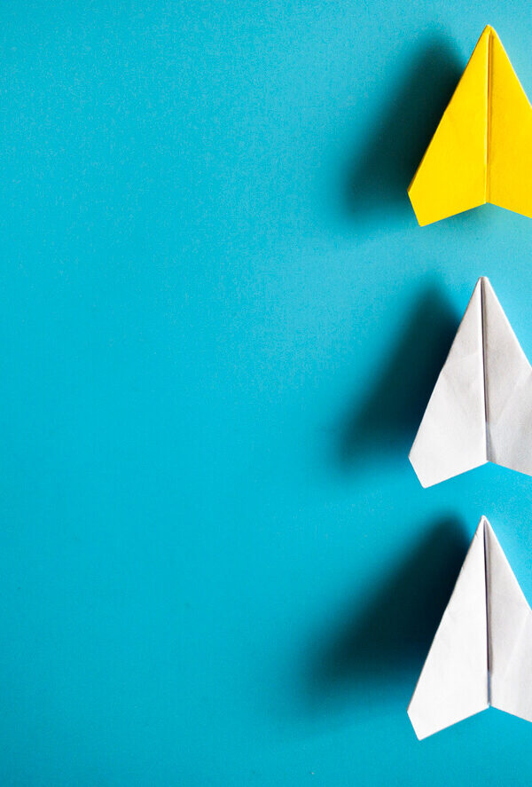 Fill in gaps in employees knowledge using a competency based training approach.